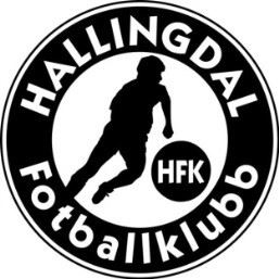hallingdal logo