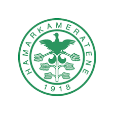 HamKam vant 4-1 over Nybergsund IL Trysil i sin første treningskamp