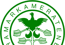 HamKam har signert Tobias Gran