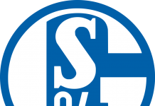 Schalke sparker trener Baum – Trenerlegende returnerer