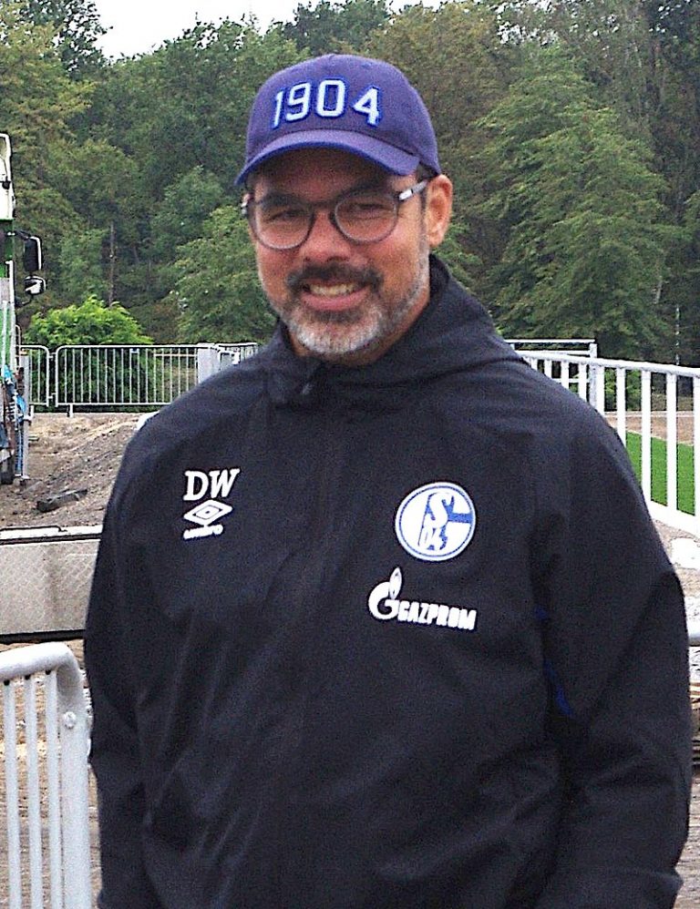 Schalke har sparket David Wagner