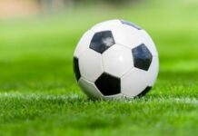 Agder: Balal og Amid Arezou scoret 6 mål hver for Grane Arendal i 19-0 seier!